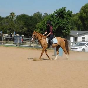 Meet your Posher, Jolie